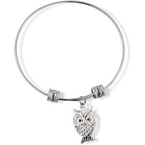 Owl Bird Charm Bangle Bracelet Jewelry